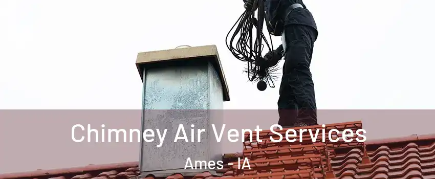  Chimney Air Vent Services Ames - IA