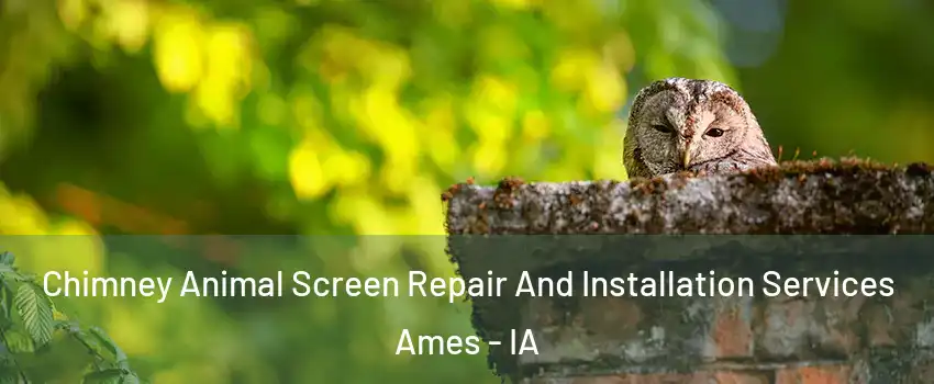  Chimney Animal Screen Repair And Installation Services Ames - IA