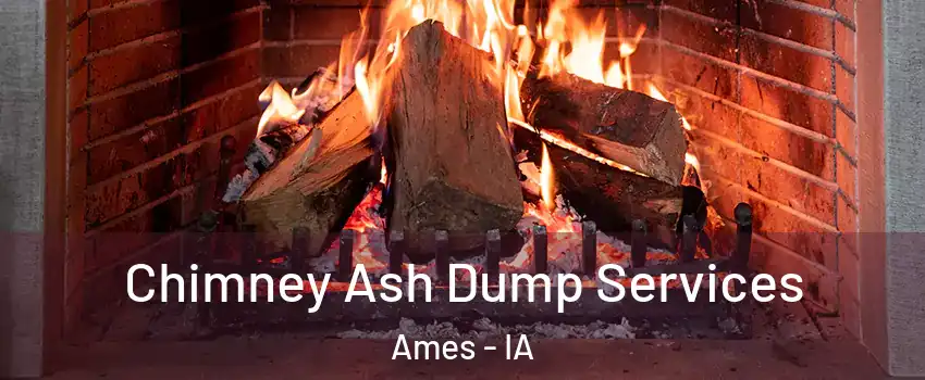  Chimney Ash Dump Services Ames - IA