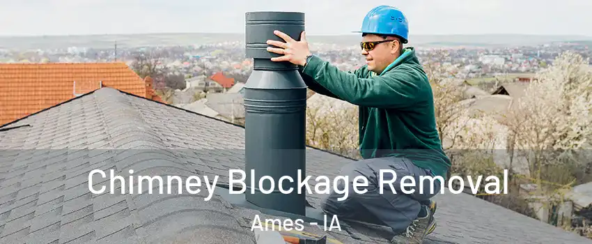  Chimney Blockage Removal Ames - IA