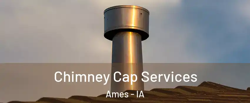  Chimney Cap Services Ames - IA
