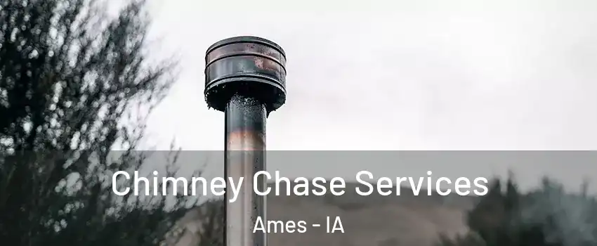  Chimney Chase Services Ames - IA