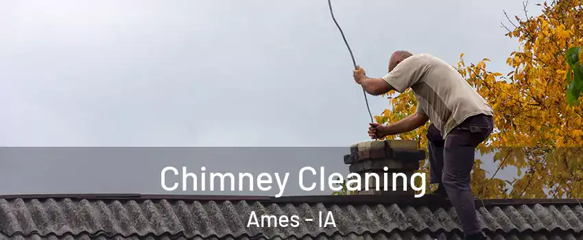  Chimney Cleaning Ames - IA