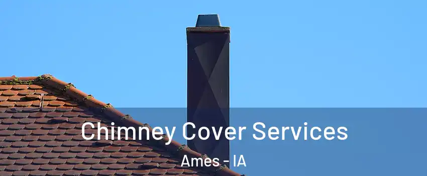  Chimney Cover Services Ames - IA