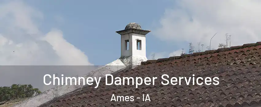  Chimney Damper Services Ames - IA