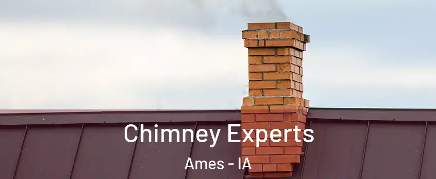 Chimney Experts Ames - IA