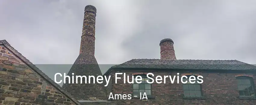  Chimney Flue Services Ames - IA