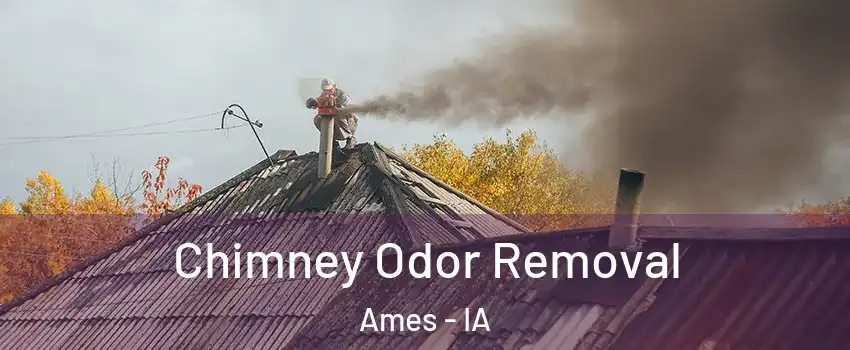  Chimney Odor Removal Ames - IA