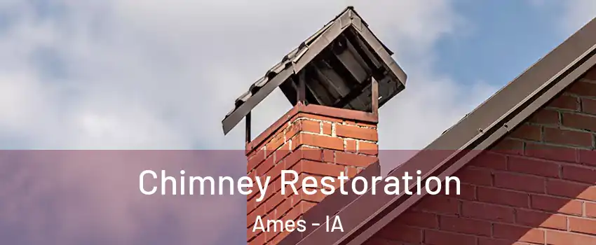  Chimney Restoration Ames - IA