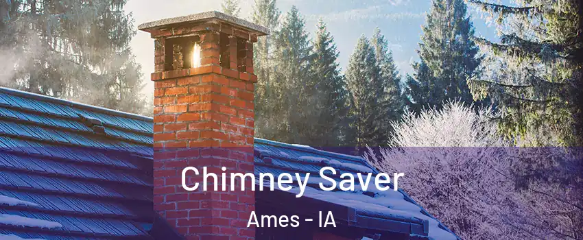 Chimney Saver Ames - IA