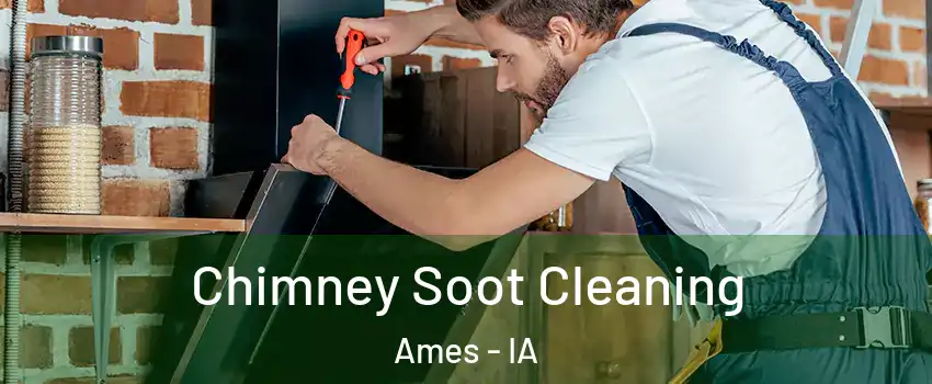  Chimney Soot Cleaning Ames - IA