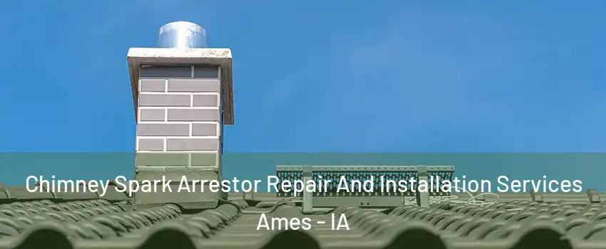  Chimney Spark Arrestor Repair And Installation Services Ames - IA