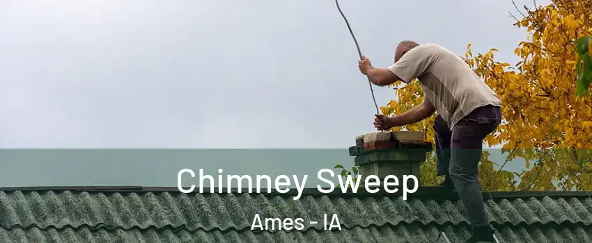  Chimney Sweep Ames - IA