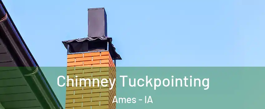  Chimney Tuckpointing Ames - IA