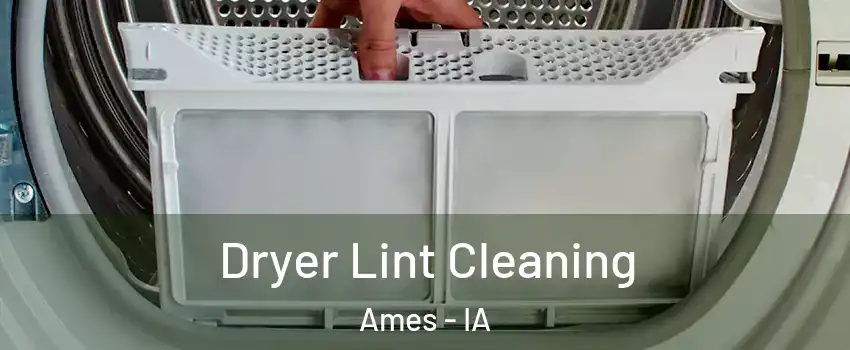  Dryer Lint Cleaning Ames - IA