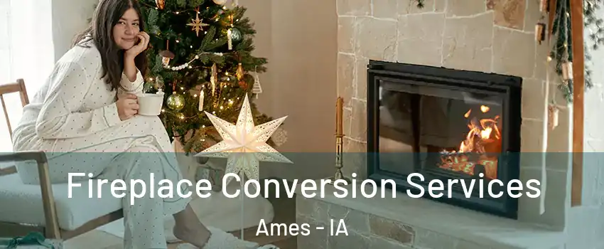  Fireplace Conversion Services Ames - IA