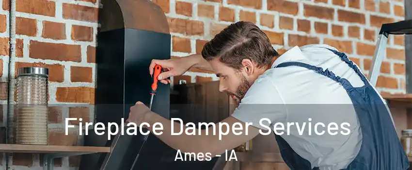  Fireplace Damper Services Ames - IA