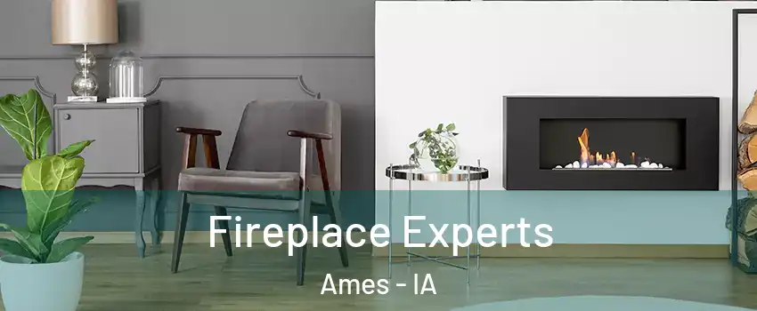  Fireplace Experts Ames - IA