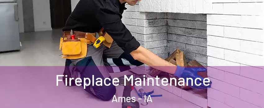  Fireplace Maintenance Ames - IA