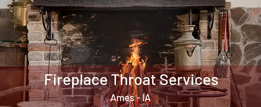  Fireplace Throat Services Ames - IA