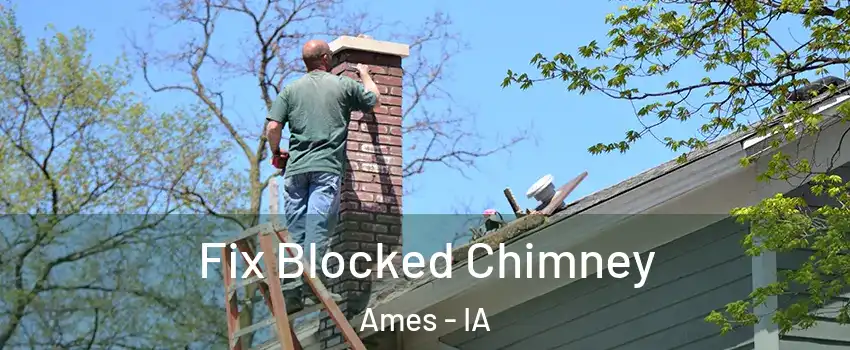  Fix Blocked Chimney Ames - IA