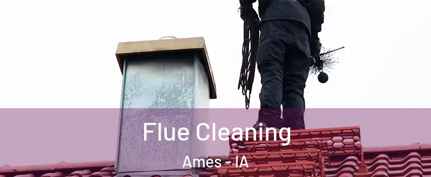  Flue Cleaning Ames - IA