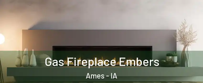  Gas Fireplace Embers Ames - IA