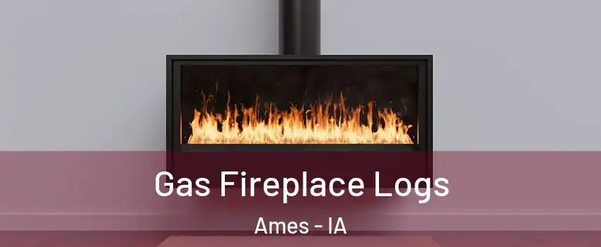  Gas Fireplace Logs Ames - IA