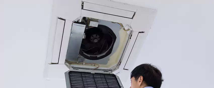 Benefits of Professional Air Duct Cleaning in Ames, Iowa