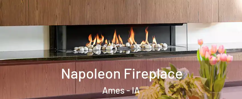  Napoleon Fireplace Ames - IA