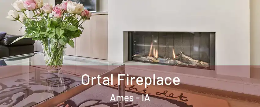 Ortal Fireplace Ames - IA