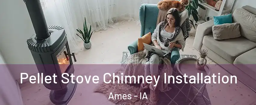  Pellet Stove Chimney Installation Ames - IA